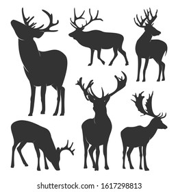 Collection of silhouette  Deers. Vector logo. Wildlife. Wild Deer. Vector illustration.
