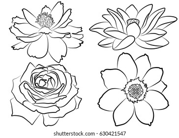 Collection of silhouette flowers, isolated on white background. Floral set with marigold, rose, lotus (water lily) and cosmos flower. Coloring book page design. Hand drawn vector illustration.