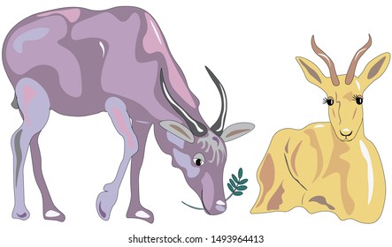 Collection. Silhouette. Funny goats. Desert animals. Animals love. Vector illustration. 