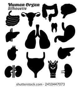 Collection of silhouette illustrations of human organ