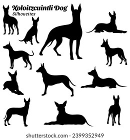 Collection of silhouette illustrations of xoloitzcuintli dog