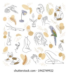Collection. Silhouette of lady, cat, bird and leaves in modern one line style. Solid line, outline for decor, posters, stickers, logo. Set of vector illustrations set.