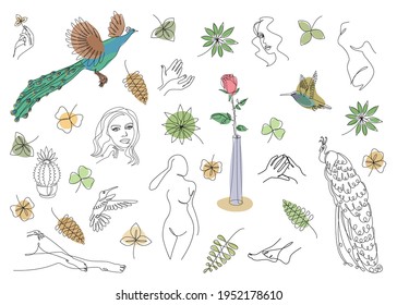 Collection. Silhouette of lady, cat, bird and leaves in modern one line style. Solid line, outline for decor, posters, stickers, logo. Set of vector illustrations set.