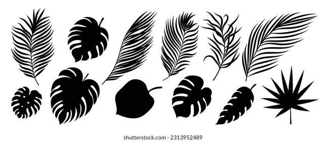 Collection of silhouette leaf elements. Set of tropical plants, leaf branch, palm, monstera leaves, foliage. Hand drawn of botanical vectors for decor, website, graphic, decorative.