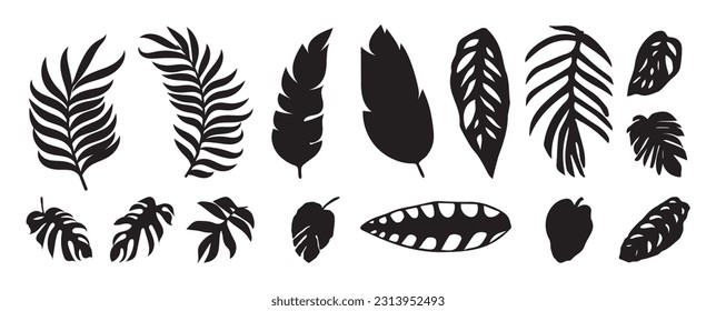 Colección de elementos de hojas de silueta. Plantas tropicales, rama de hojas, palmas, hojas de monstera, follaje. Dibujo manual de vectores botánicos para decoración, sitio web, gráfico, decorativo.