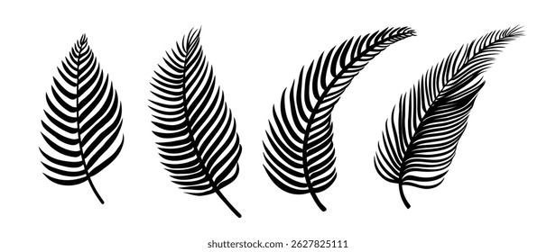 Collection of silhouette leaf elements. Set of tropical plants, leaf branch, palm, coconut, foliage, flower. Hand drawn of botanical vectors for decor, website, graphic, decorative.
