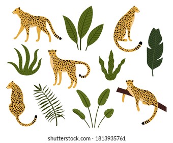 Collection of silhouette leopards, exotic leaves, tropical plants and palm tree isolated on light background. Bundle of wild African feline animals. Hand drawn vector illustration.