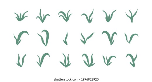 collection of silhouette plants seaweed algae aquatic water plant grass for aquarium. isolated vector hand drawn illustration in doodle style