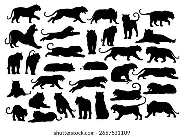 Sammlung von Silhouette Tiger in verschiedenen Posen. Schwarzer Tiger einzeln auf weißem Hintergrund. Vektorgrafik verschiedener Tigeraktivitäten