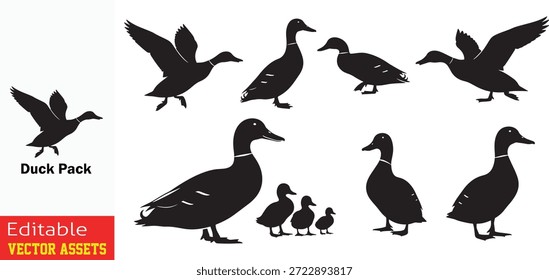 Colección de patos silueteados en varias poses aislados sobre un fondo blanco que representa una variedad diversa de aves acuáticas y patitos

Esta Imagen profesional presenta una selección de ilustraciones de siluetas negras que capturan la esencia de las aves acuáticas en varias etapas de la vida y posturas. Meticulosamente aislada sobre un fondo blanco puro, la colección presenta patos adultos en vuelo con las alas extendidas, transmitiendo movimiento dinámico, junto a los patos de pie en posturas de alerta. Un punto destacado de este conjunto es la inclusión de patitos adorables, representados en formas redondeadas para ilustrar las agrupaciones familiares y el ciclo natural de la vida. Cada silueta está claramente definida, mostrando cuellos curvos característicos y detalles sutiles del cuerpo que insinúan patrones de plumas. Este versátil recurso de Vector es ideal para materiales educativos sobre el comportamiento de las aves, carteles de conservación de la vida silvestre, marca temática de la naturaleza y gráficos de Ocio al aire libre. El estilo de silueta atemporal garantiza que estos Elementos sean universalmente aplicables y se integren fácilmente en cualquier proyecto de medios digitales o impresos.

Las características clave incluyen
Incluye patos en Variedad, caminando, de pie y descansando, proporcionando una gama completa de movimientos naturales.

Cuenta con patos y patitos adultos, perfectos para proyectos que enfatizan la familia, la comunidad o el crecimiento.

Estética minimalista de alto contraste Las llamativas formas negras en blanco garantizan un reconocimiento inmediato y una claridad profesional para logotipos e iconos.

Calidad de Vector de Profesional Proporcionado como archivos de Vector totalmente escalables y editables, lo que permite la personalización del tamaño y la ubicación sin pérdida de detalle.