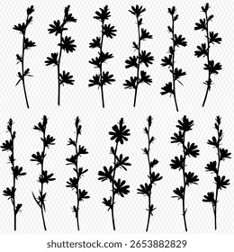 A collection of silhouetted floral stems with leaves and blossoms are arranged on a transparent background.