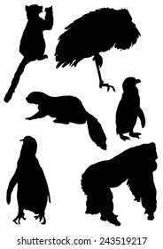 Collection of silhouettes of animals