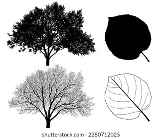 Collection of silhouettes of apricot trees and leaves