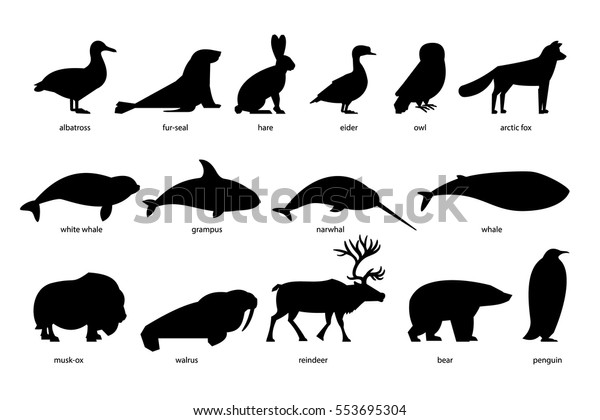 北極動物のシルエットコレクション のベクター画像素材 ロイヤリティフリー