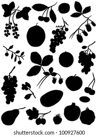 Collection of silhouettes of berries