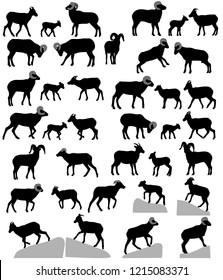 Collection of silhouettes of bighorn sheeps, rams and lambs