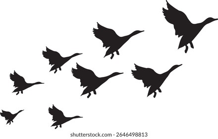 Collection of silhouettes of birds.
