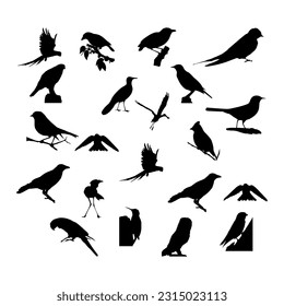 Collection of silhouettes of birds. Birds silhouettes vector on isolated background.