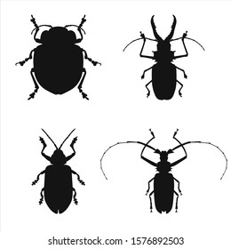 Collection of silhouettes of bug isolated on white background. Vector illustration