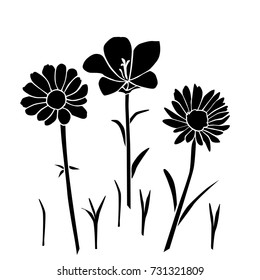 Collection of silhouettes of chamomile flower, clove, bell flower, grass, vector, black, isolated on white background