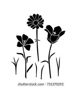 Collection of silhouettes of chamomile flower, clove, bell flower, grass, vector, black, isolated on white background