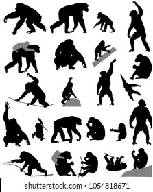 Collection of silhouettes of chimpanzees and its cubs