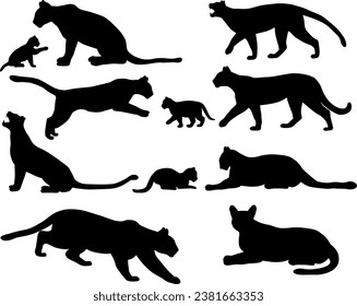 Collection of silhouettes of cougars also named pumas or mountain lions and its cubs