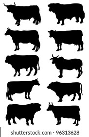 Collection of silhouettes of cows and bulls