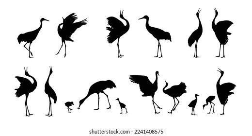Collection of silhouettes of crane birds. Crane birds isolated vector illustration. Egret, heron design element.  wildlife style.