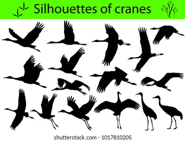 Collection of silhouettes of cranes