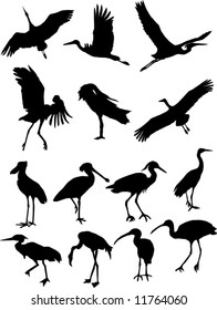 Collection silhouettes cranes, flamingos and storks