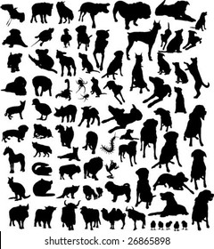 collection of silhouettes of different animals