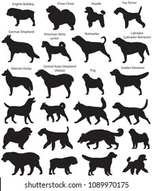 Collection of silhouettes of different breeds of dogs: fox terrier, siberian husky, chow chow, poodle, german shepherd, rottweiler, pug, english bulldog, labrador, golden retriever, american akita