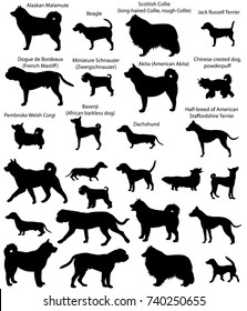 Collection of silhouettes of different breeds of dogs