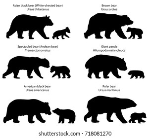 Collection of silhouettes of  different species of bears and bear-cubs 