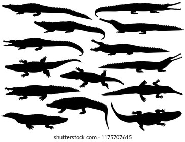 Collection of silhouettes of  different species of crocodiles