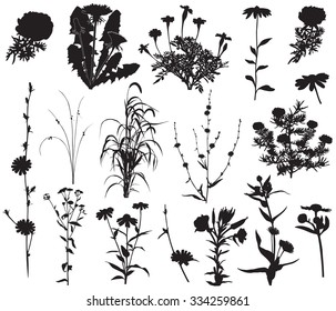 Collection of silhouettes of different species of flowers