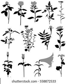 Collection of silhouettes of different species of flowers