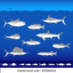 Collection of silhouettes of different species of ocean fishes