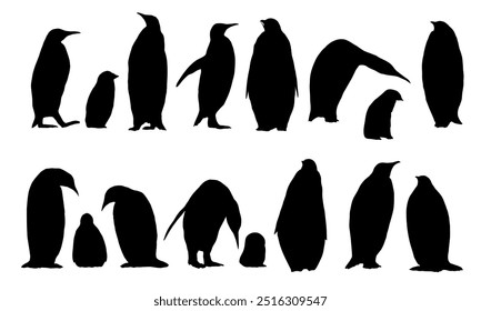 Colección de siluetas de pingüinos emperador y sus polluelos. Los pingüinos emperador Aptenodytes forsteri caminan y se paran. Animales endémicos del Vector realista de la Antártida