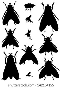 Collection of silhouettes of flies