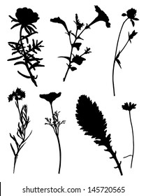 Collection of silhouettes of flowers