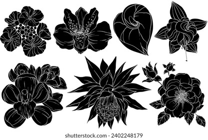 Collection of silhouettes of flowers