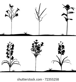 Collection silhouettes of flowers