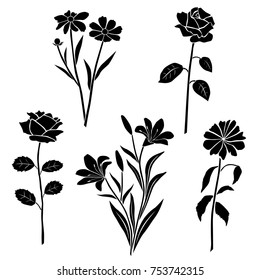 Collection of silhouettes of flowers rose, chamomile, chrysanthemum, Lily, different branches, blossom,  vector, black color, isolated on white background