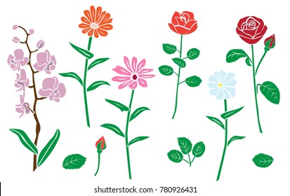 Collection  silhouettes of flowers rose, chamomile, chrysanthemum, orchid, different branches, blossom,  vector, pink, red, blue and orange color, isolated on white background