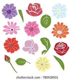 Collection of silhouettes of flowers rose, chamomile, chrysanthemum, orchid, different branches, blossom,  vector, pink, red, blue and orange color, isolated on white background