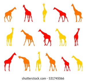 Collection of silhouettes of giraffes. Illustration of African animals isolated on white background.
