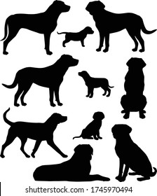 Collection of silhouettes of greater swiss mountain dog breed