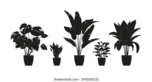 Collection silhouettes of houseplants in black color. Potted plants isolated on white. set green tropical plants. trendy home decor with indoor plants, planters, tropical leaves.